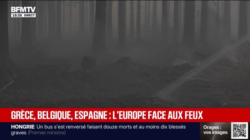 Grèce, Belgique, Espagne, France: l'Europe fait face à des feux violents