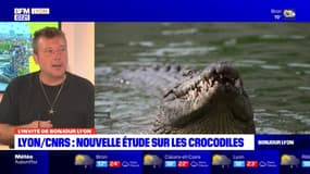 Lyon: une étude du CNRS nous en apprend plus sur les crocodiles