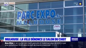 Mulhouse: la mairie vent debout contre le Salon du chiot