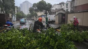 Un ouvrier coupe un arbre tombé sur une route en raison de vents violents et de pluies dues au passage du typhon Bebinca à Shanghai, le 16 septembre 2024. 