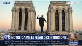 Notre-Dame: ces grimpeurs n'ont eu aucun mal à monter sur la cathédrale