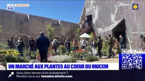 Marseille: un marché aux plantes au cœur du Mucem ce week-end