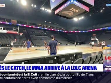 Lyon: un championnat de MMA arrive à la LDLC Arena en décembre