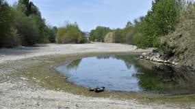 Le lit asséché d'une rivière à Rivesaltes, dans les Pyrénées-Orientales, à la fin du mois d'avril.