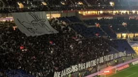 Une chèvre en tribune à Lyon, 14 janvier 2023