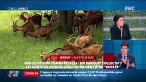 "On ne peut pas demander aux éleveurs de produire une viande de meilleure qualité et leur dire qu'on préfère importer parce que leur viande coute trop cher" - Julien Dneormandie