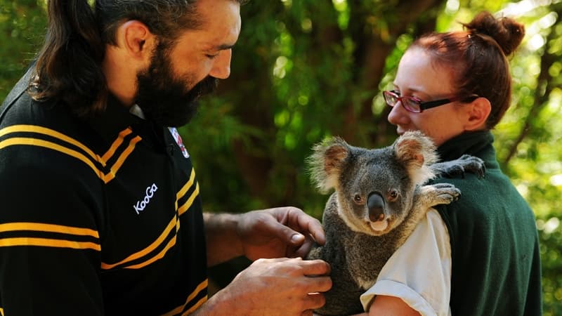 Sébastien Chabal