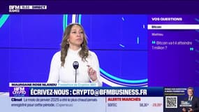 Investir dans les cryptos, quels sont les obstacles ?