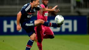 Steed Malbranque