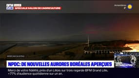 De nouvelles aurores boréales aperçues dans le Nord-Pas-de-Calais