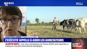 Christiane Lambert, présidente de la FNSEA appelle à "aller aider les agriculteurs"