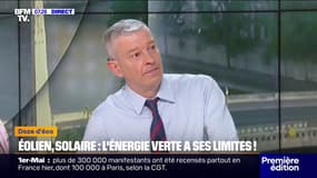 Éolien, solaire... Faut-il limiter la quantité d'énergies renouvelables dans la production d'électricité? 