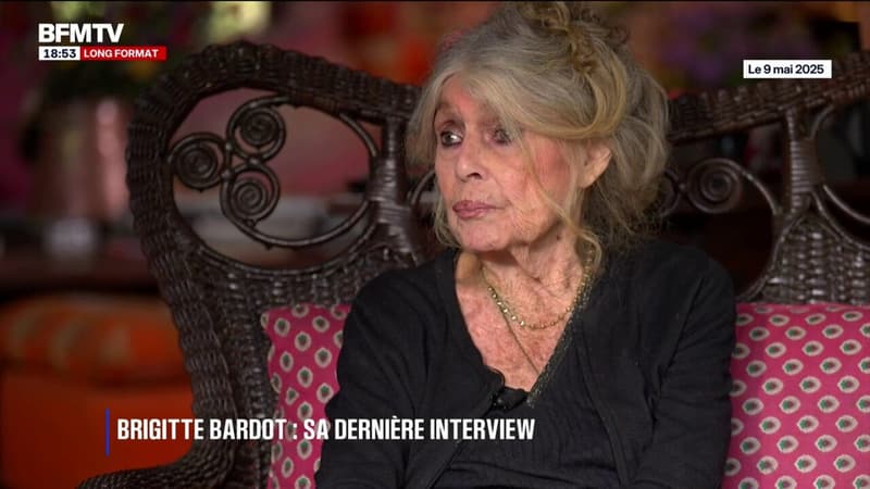 "Je n'ai ni remords, ni regrets." : retour sur les confidences de Brigitte Bardot à BFMTV en mai 2025