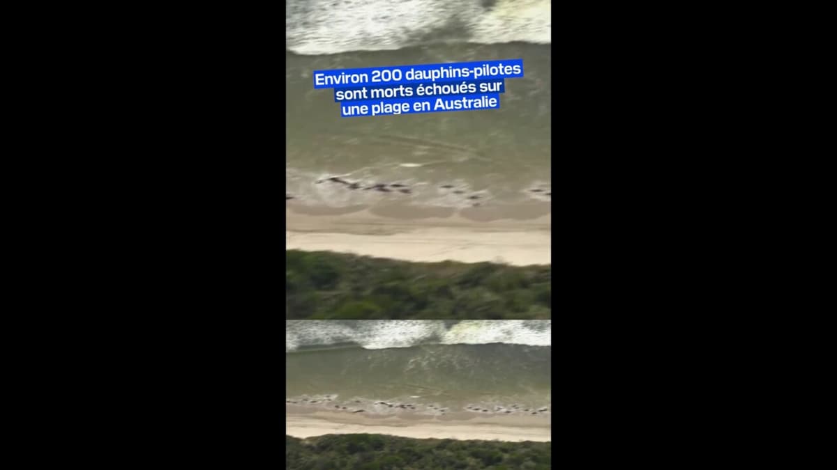 placeholder video