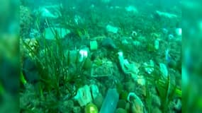 La vidéo de Laurent Lombard montre les fonds marins de Cannes pollués par de nombreux déchets.