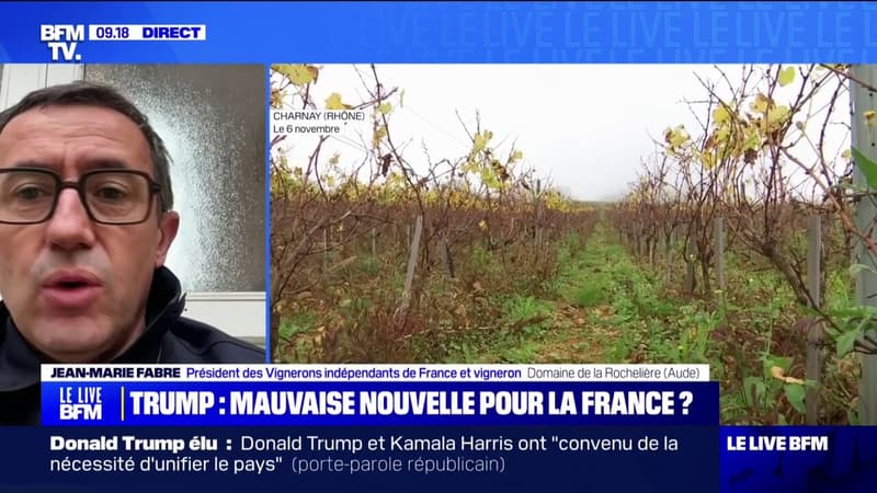 En 2020,Trump a affaibli notre secteur: le président des vignerons indépendants alerte