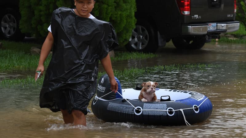 Un homme sauve son chien sur un bateau gonflable, le 29 août 2017 à Houston. 