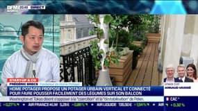 Start up & co : Home Potager propose un potager urbain vertical et connecté pour faire pousser facilement des légumes depuis son balcon - 16/03