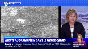 La montée des eaux menace-t-elle le littoral français ? BFMTV répond à vos questions