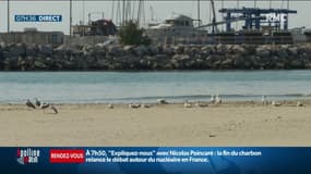Un véliplanchiste retrouvé vivant après plus de 18h passées à dériver en Méditerranée