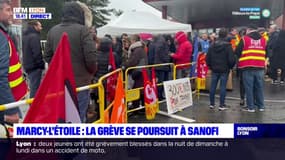 Marcy-L'Etoile : la grève se poursuit à Sanofi