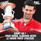 Roland-Garros 2022 : malgré l'explosion d'Alcaraz, logique respectée avec un Djokovic favori ?