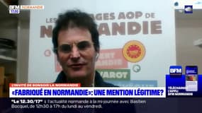 Camembert "fabriqué en Normandie": le président de l'ODG dénonce un "acharnement" des industriels