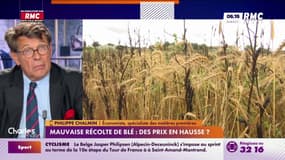 Mauvaise récolte de blé : des prix en hausse ?