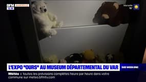 Passions Provence: l'expo "Ours" au muséum départemental du Var