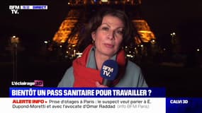 Pass sanitaire pour travailler: pour la vice-présidente du Medef, "c'est une manière pour le gouvernement d'imposer une obligation déguisée"