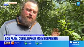 Beauval-en-Caux: cueillir ses propres pommes pour moins dépenser