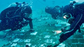 La Nasa a confirmé ce jeudi 10 novembre qu'un morceau de la navette spatiale Challenger a été retrouvé par des plongeurs dans le triangle des Bermudes.

