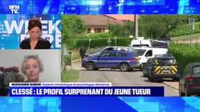 Ado tuée à Clessé: le profil surprenant du jeune tueur - 11/06