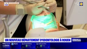 Université de Rouen: un département d'odontologie créé pour pallier le manque de dentistes