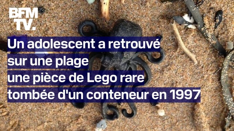 Royaume-Uni: un adolescent a retrouvé sur une plage une pièce de Lego rare tombée d&#039;un conteneur en 1997