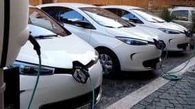 Des Renault Zoé électriques branchées sur une borne de recharge.