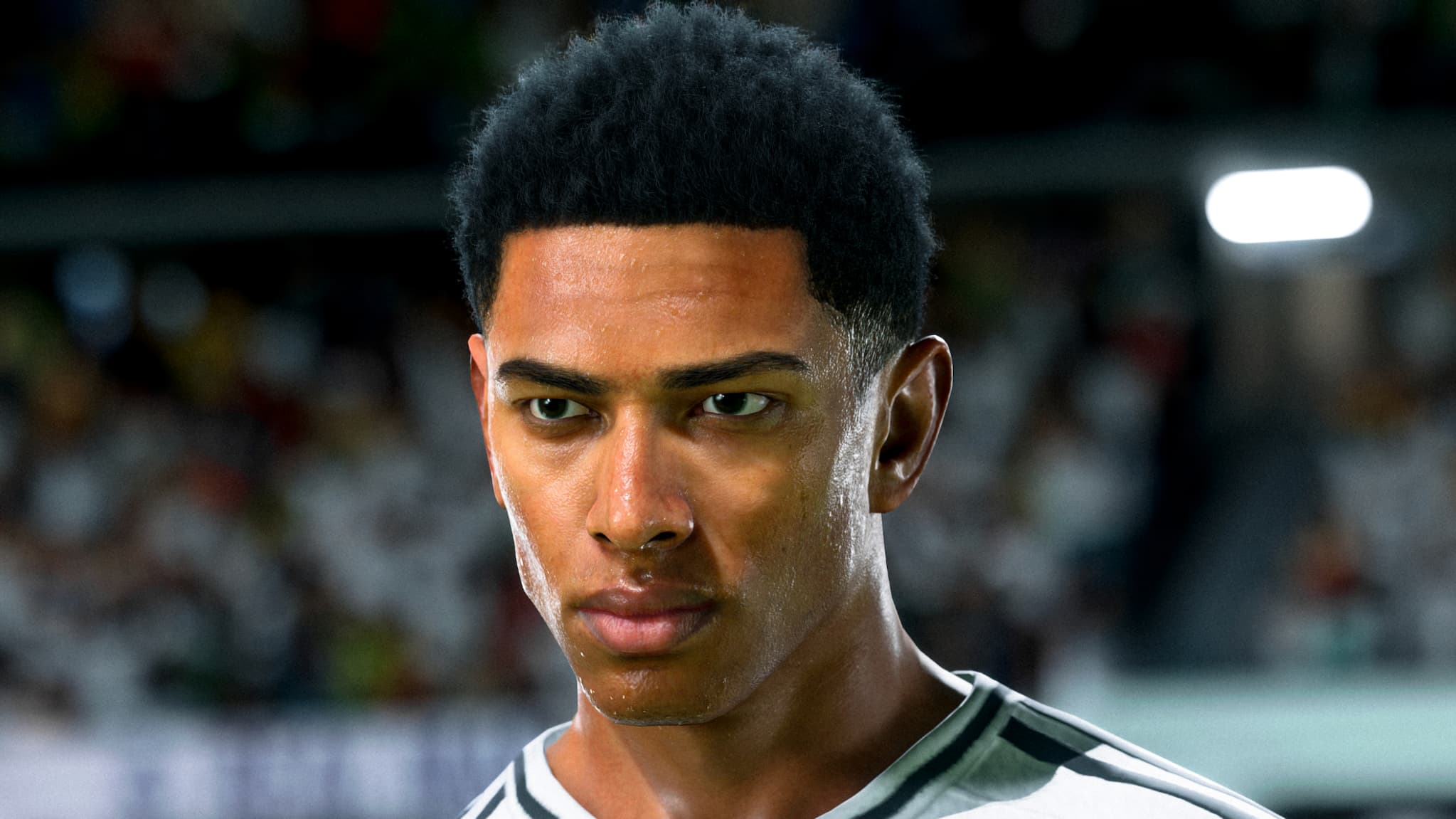 Illustrations du jeu FC 25
