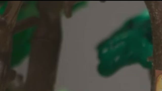Le Pays de Douarnenez recherche de nouveaux médecins.