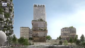 Une forêt verticale en banlieue parisienne
