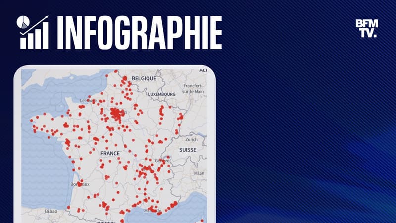 Punaises de lit: la carte des professionnels qualifiés auxquels faire appel en cas d'infestation