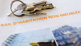 La plateforme Somhome permet aux propriétaires et locataires susceptibles de bien s'entendre de se rencontrer pour signer un bail.