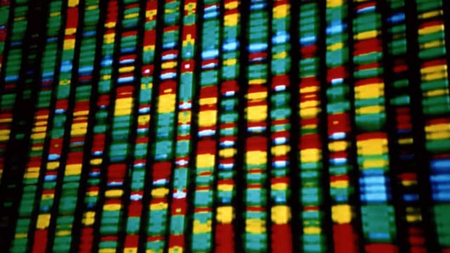 La police scientifique identifie les auteurs d'infractions par des moyens scientifiques, tels que l'analyse ADN.