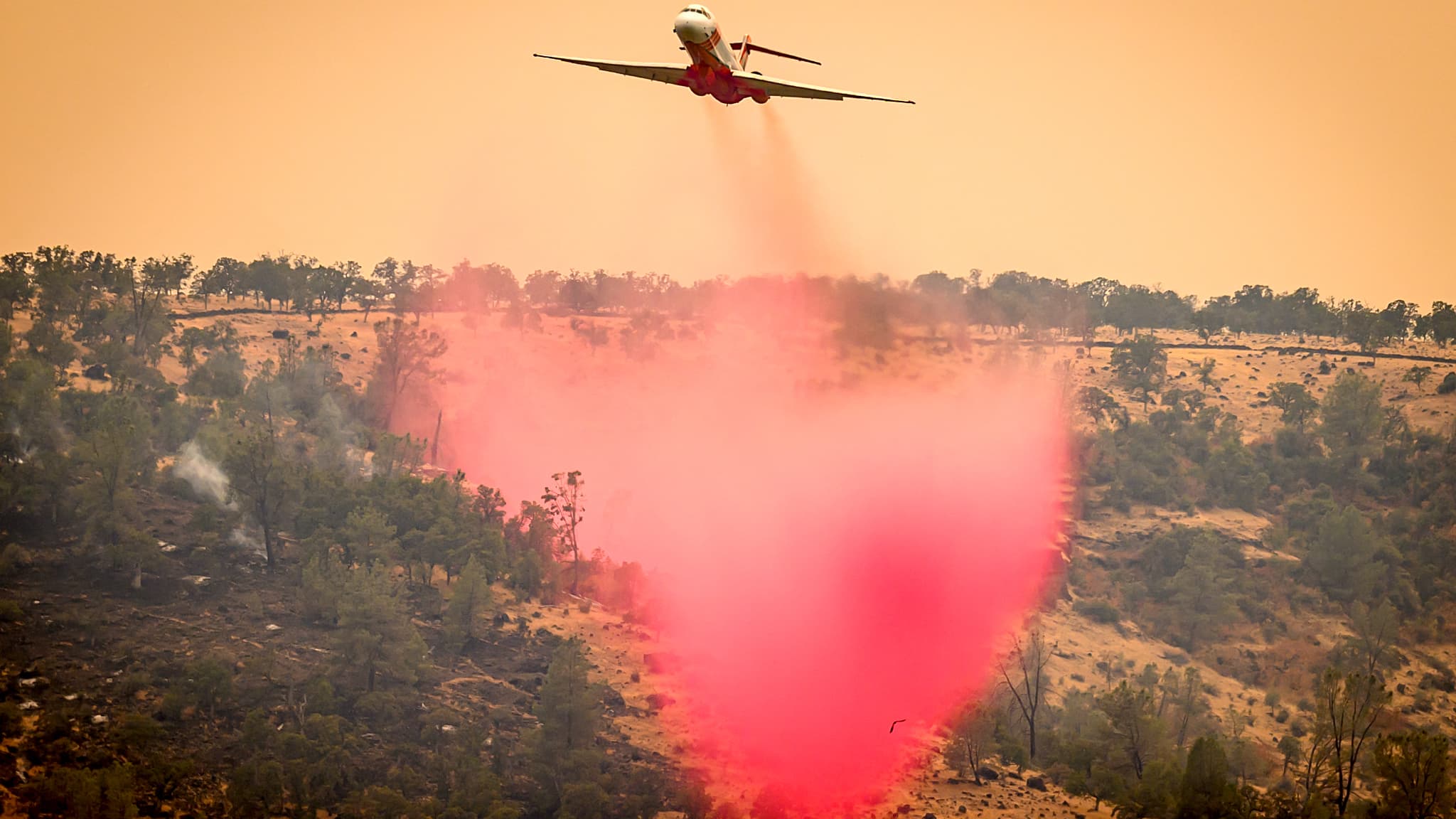 Les pompiers tentent d'éteindre un mégafeu en Californie le 27 juillet 2024. Les pompiers tentent d'éteindre un mégafeu en Californie le 27 juillet 2024.