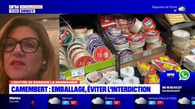 Une députée européenne normande défend les boîtes à camembert devant l'UE