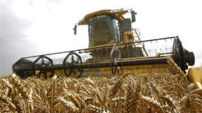 Le gouvernement français, alarmé par la flambée des prix des céréales et du soja, a saisi samedi les instances mises en place en 2011 par le G20 agricole pour suivre de près cette situation, et se préparer à une réunion internationale en cas d'aggravation