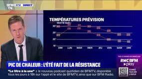 Jusqu'à 39°C: l'été fait de la résistance, avec une nouvelle vague de chaleur