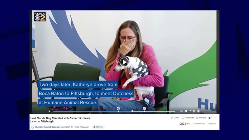 KDKA-TV | CBS Pittsburgh / Humane Animal Rescue
