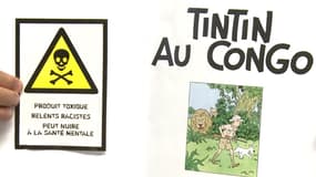 Un Groupement contre le racisme, auquel participe le Cran, s'est attaqué à Tintin au Congo, ce lundi.