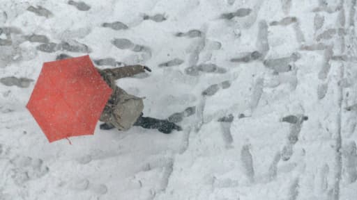 Tokyo sous la neige, le 8 février.