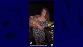 Capture d'écran d'une vidéo partagée sur TikTok par l'influenceuse américaine Sam Jones (mars 2025). Sur les images, tournées en Australie, on aperçoit Sam Jones "enlever" à une mère wombat son petit pour l'amener à proximité de son véhicule. Quelques instants plus tard, l'influenceuse dépose sur l'animal qui rejoint sa mère "en colère" dans les hautes herbes environnantes. 